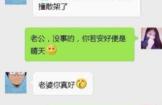 搞笑视频段子大全 爆笑,搞笑视频段子大全，爆笑瞬间集锦